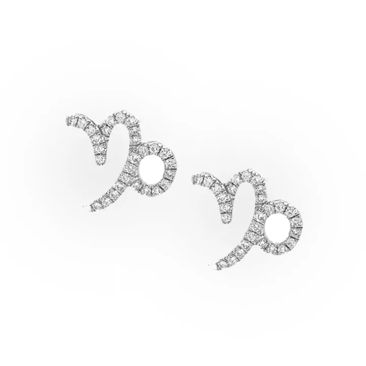 Capricorn Diamond Zodiac Studs