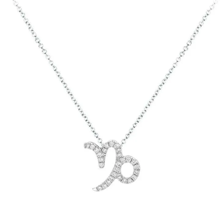 Capricorn Diamond Zodiac Necklace