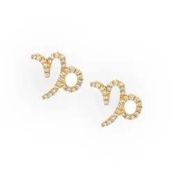 Capricorn Diamond Zodiac Studs