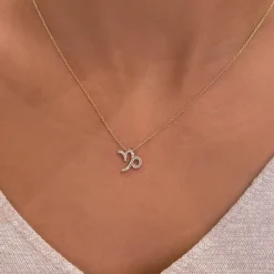 Capricorn Diamond Zodiac Necklace