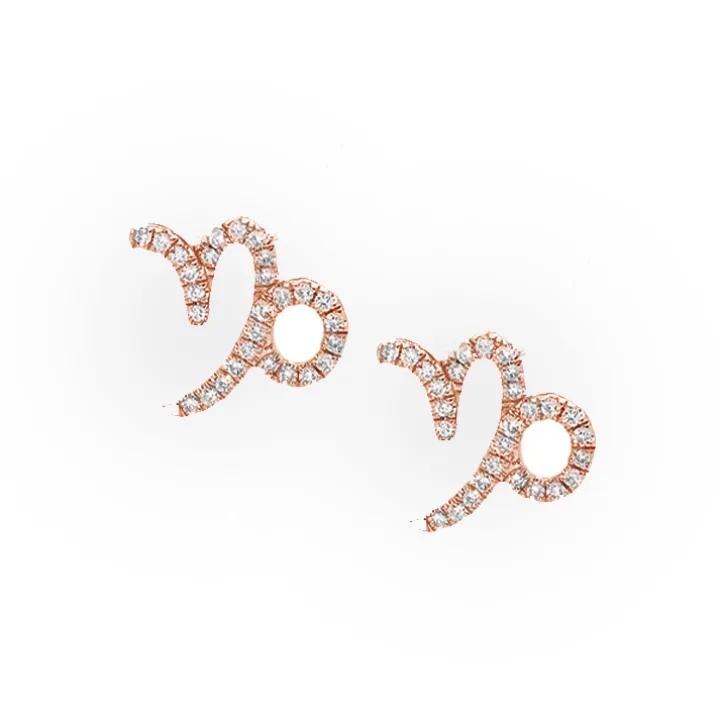 Capricorn Diamond Zodiac Studs