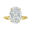 Golden Eternity Diamond Engagement Ring