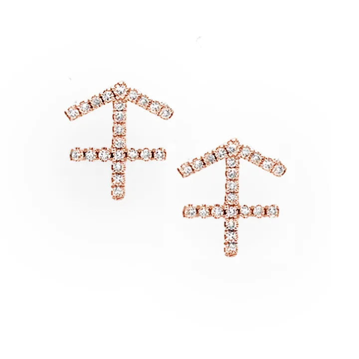 Sagittarius Diamond Zodiac Studs