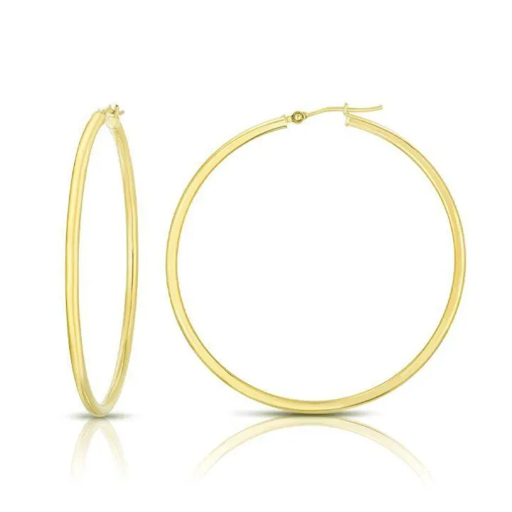 Solid Gold Hoop Earrings