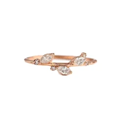 The Acacia Ring