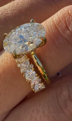 The Petra Diamond Band